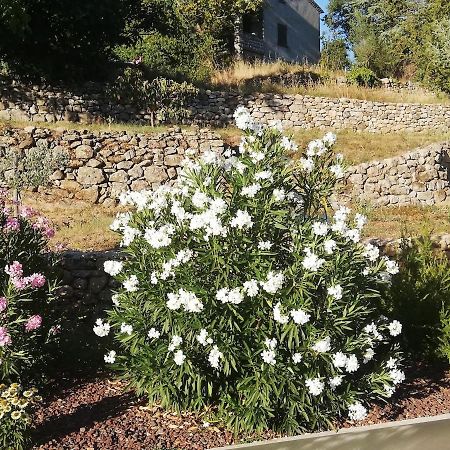 La Grangette Villa Joyeuse Luaran gambar