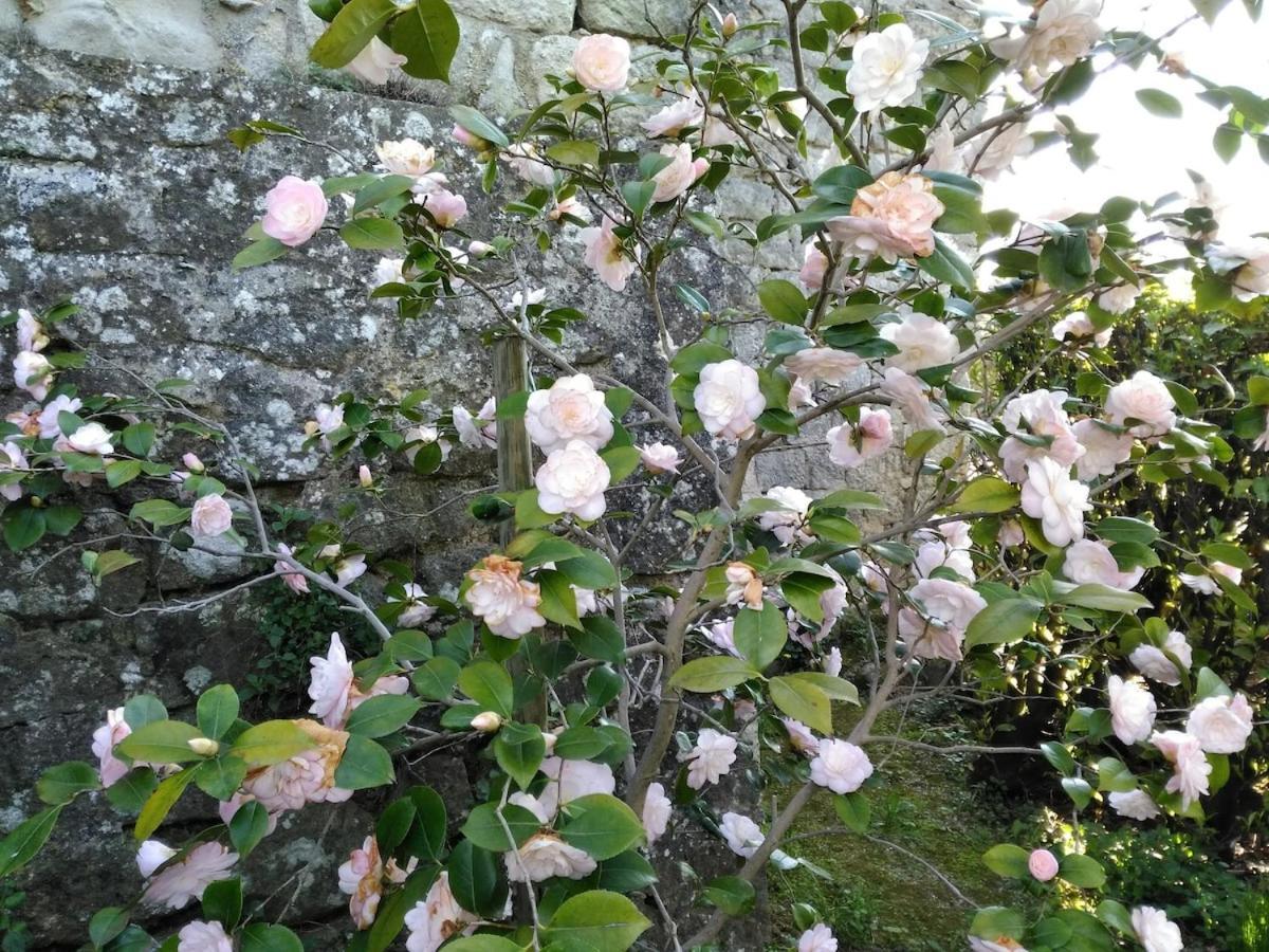 La Grangette Villa Joyeuse Luaran gambar
